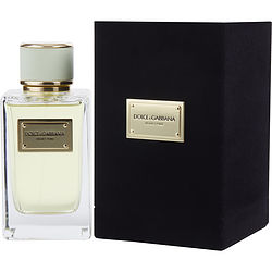 DOLCE & GABBANA VELVET PURE by Dolce & Gabbana